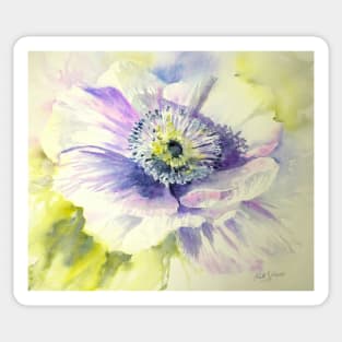 Purple Anemone Sticker